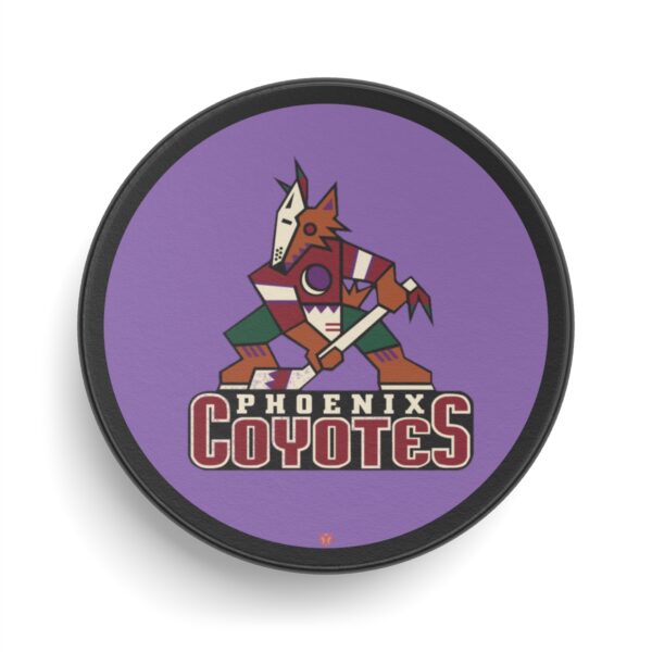 Official Pro Merch Arizona Coyotes Hockey Puck made by Viceroy