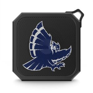 Rice Owls Blackwater Outdoor Bluetooth Speaker