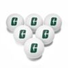 Charlotte 49ers Ping Pong Balls, 6 pcs - Image 2