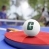Charlotte 49ers Ping Pong Balls, 6 pcs - Image 3
