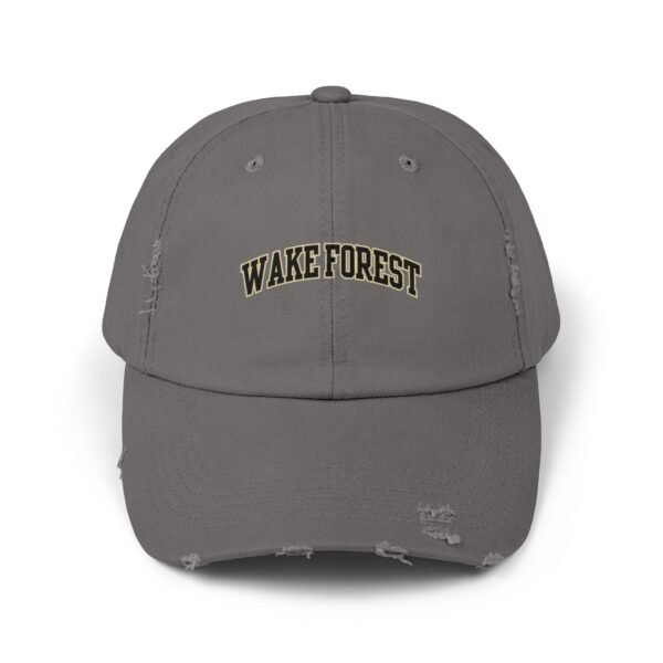 Wake Forest Demon Deacons Unisex Distressed Cap - Image 13