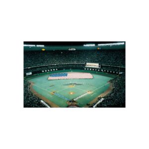 Philadelphia Phillies Veterans Stadium Fine Art Posters