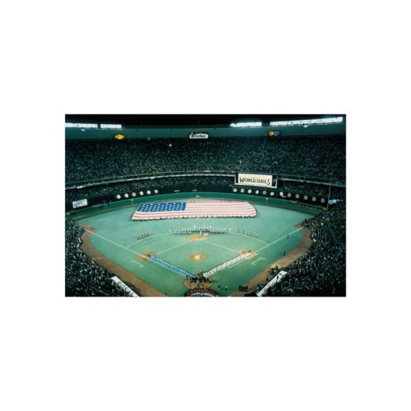 Philadelphia Phillies Veterans Stadium Fine Art Posters