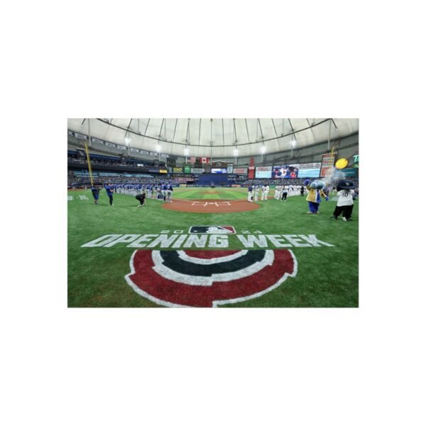 Tampa Bay Rays Stadium Fine Art Posters