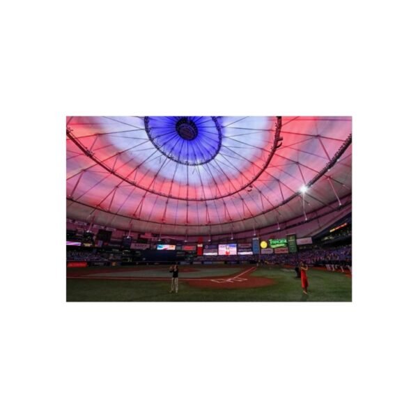 Tampa Bay Rays Stadium Fine Art Posters