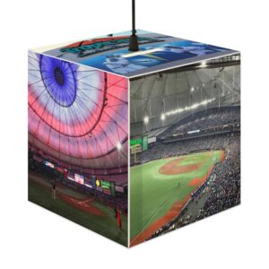 Tampa Bay Rays Stadium Light Cube Lamp