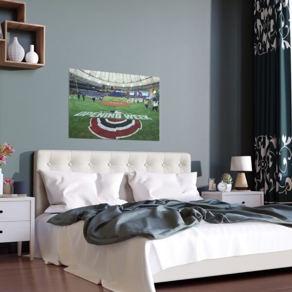 Tampa Bay Rays Stadium Indoor and Outdoor Silk Posters