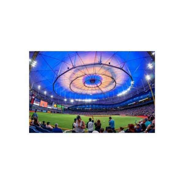 Tampa Bay Rays Stadium Fine Art Posters