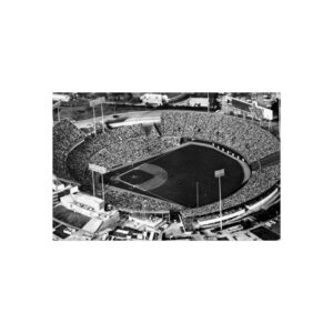 Texas Rangers Arlington Stadium Fine Art Posters