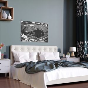 Texas Rangers Arlington Stadium Indoor and Outdoor Silk Posters