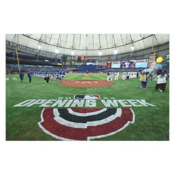Tampa Bay Rays Stadium Indoor and Outdoor Silk Posters - Image 2