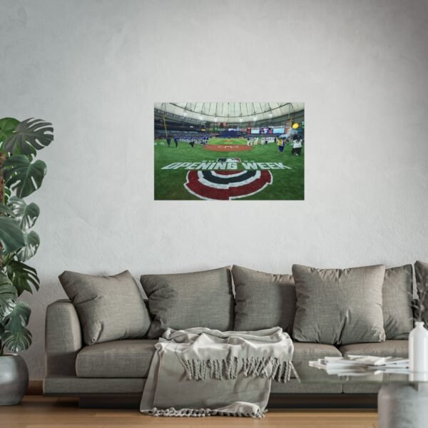 Tampa Bay Rays Stadium Fine Art Posters - Image 2
