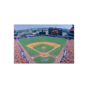 New York Mets Shea Stadium Fine Art Posters