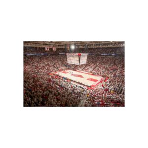 Arkansas Razorbacks Bud Walton Arena Fine Art Posters