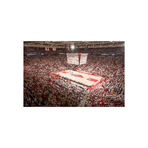 Arkansas Razorbacks Bud Walton Arena Fine Art Posters