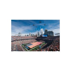Carolina Panthers Bank of America Stadium Fine Art Posters