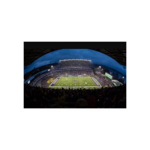 Washington Huskies Husky Stadium Fine Art Posters