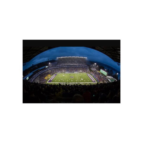 Washington Huskies Husky Stadium Fine Art Posters