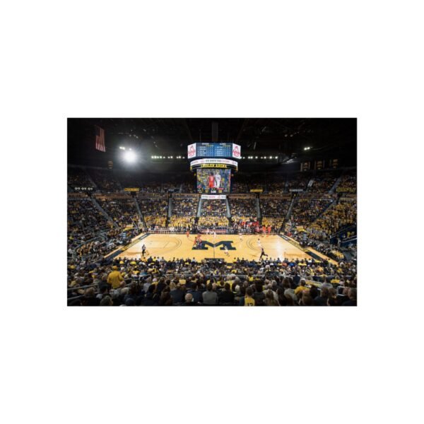 Michigan Wolverines Crisler Center Fine Art Posters