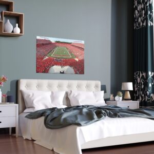 Rutgers Scarlet Knights SHI Stadium Indoor and Outdoor Silk Posters