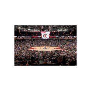 South Carolina Gamecocks Colonial Life Arena Fine Art Posters