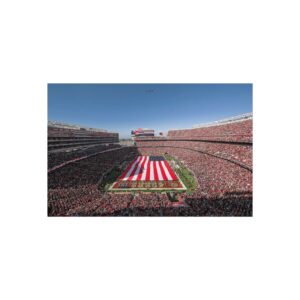 San Francisco 49ers Levi's Stadium Fine Art Posters