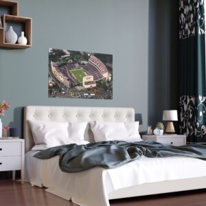 Mississippi State Bulldogs Davis Wade Stadium Indoor and Outdoor Silk Posters