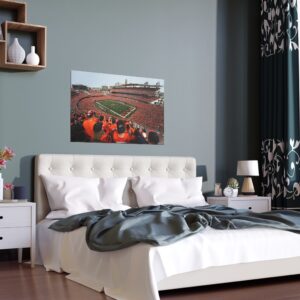 Cincinnati Bengals Paycor Stadium Indoor and Outdoor Silk Posters