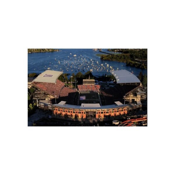 Washington Huskies Husky Stadium Fine Art Posters