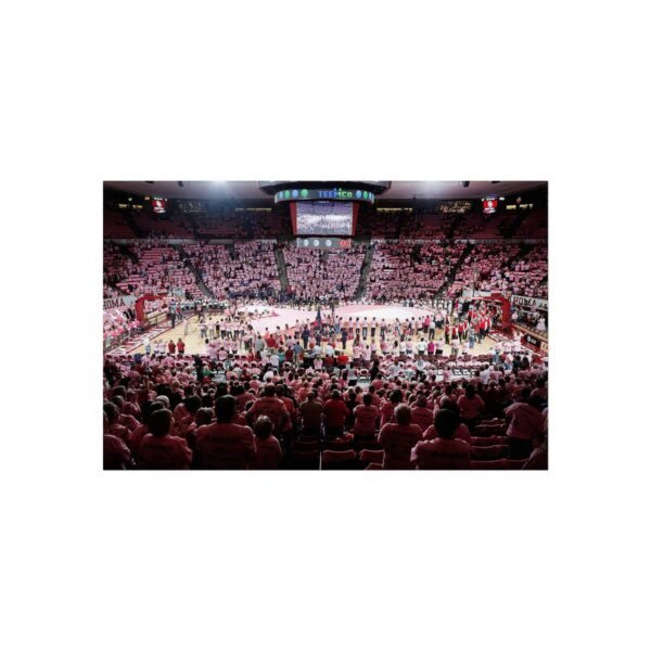 Oklahoma Sooners Lloyd Noble Center Fine Art Posters