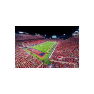 Arizona Wildcats Arizona Stadium Fine Art Posters