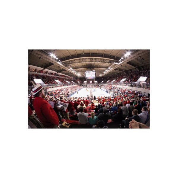 SMU Mustangs Gerald J. Ford Stadium Fine Art Posters