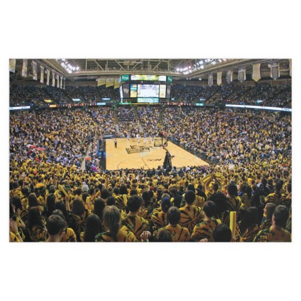 Wake Forest Demon Deacons Allegacy Federal Credit Union Stadium Indoor and Outdoor Silk Posters - Image 2