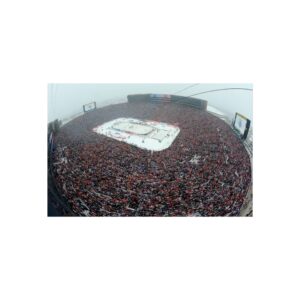 2014 Winter Classic Michigan Stadium Toronto Maple Leafs vs  Detroit Red Wings Fine Art Posters