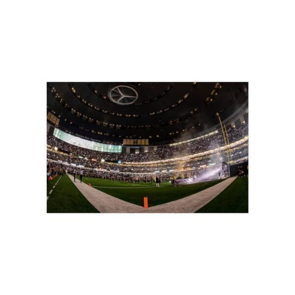 New Orleans Saints Louisiana Superdome Fine Art Posters