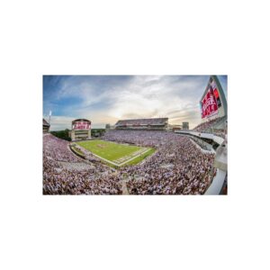 Mississippi State Bulldogs Davis Wade Stadium Fine Art Posters