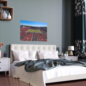 Ole Miss Rebels Vaught–Hemingway Stadium Indoor and Outdoor Silk Posters