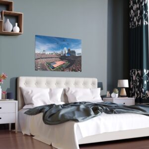 Carolina Panthers Bank of America Stadium Indoor and Outdoor Silk Posters