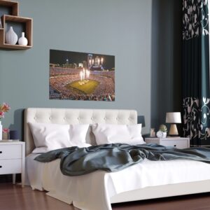 Carolina Panthers Bank of America Stadium Indoor and Outdoor Silk Posters