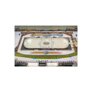 2020 Winter Classic Cotton Bowl Stadium - Nashville Predators vs  Dallas Stars Fine Art Posters