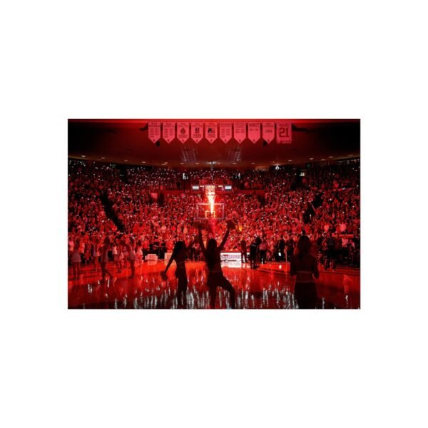 Oklahoma Sooners Lloyd Noble Center Fine Art Posters