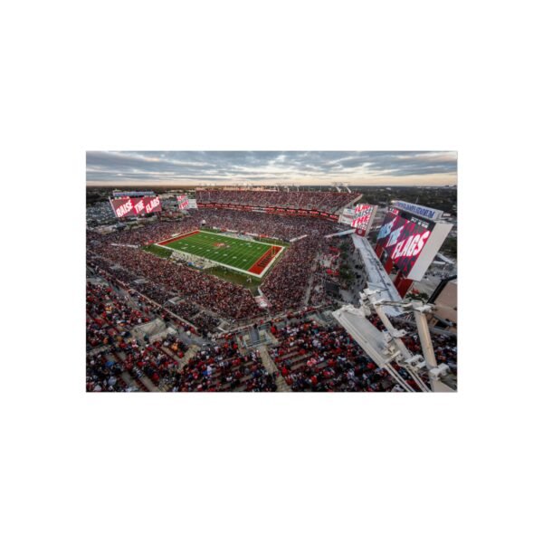 Tampa Bay Buccaneers Raymond James Stadium Fine Art Posters