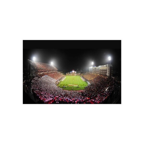 Maryland Terrapins SECU Stadium Fine Art Posters