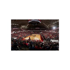 Georgia Bulldogs Stegeman Coliseum Fine Art Posters