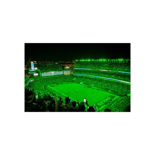 Philadelphia Eagles Lincoln Financial Field Fine Art Posters