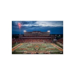 Illinois Fighting Illini Memorial Stadium Fine Art Posters