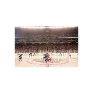 2011 Winter Classic Heinz Field - Washington Capitals vs Pittsburgh Penguins Fine Art Posters