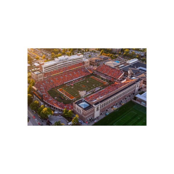 Illinois Fighting Illini Memorial Stadium Fine Art Posters
