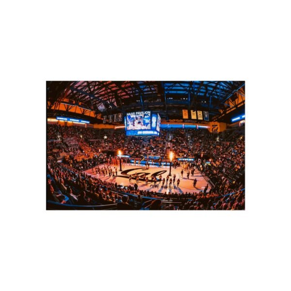 California Golden Bears Haas Pavilion Fine Art Posters