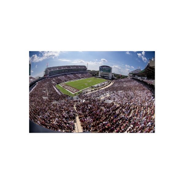 Mississippi State Bulldogs Davis Wade Stadium Fine Art Posters